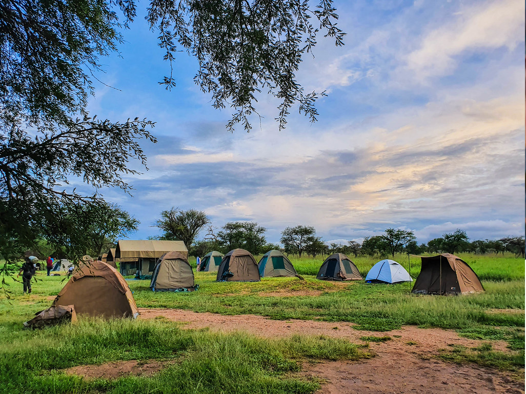 tanzania joining group safari